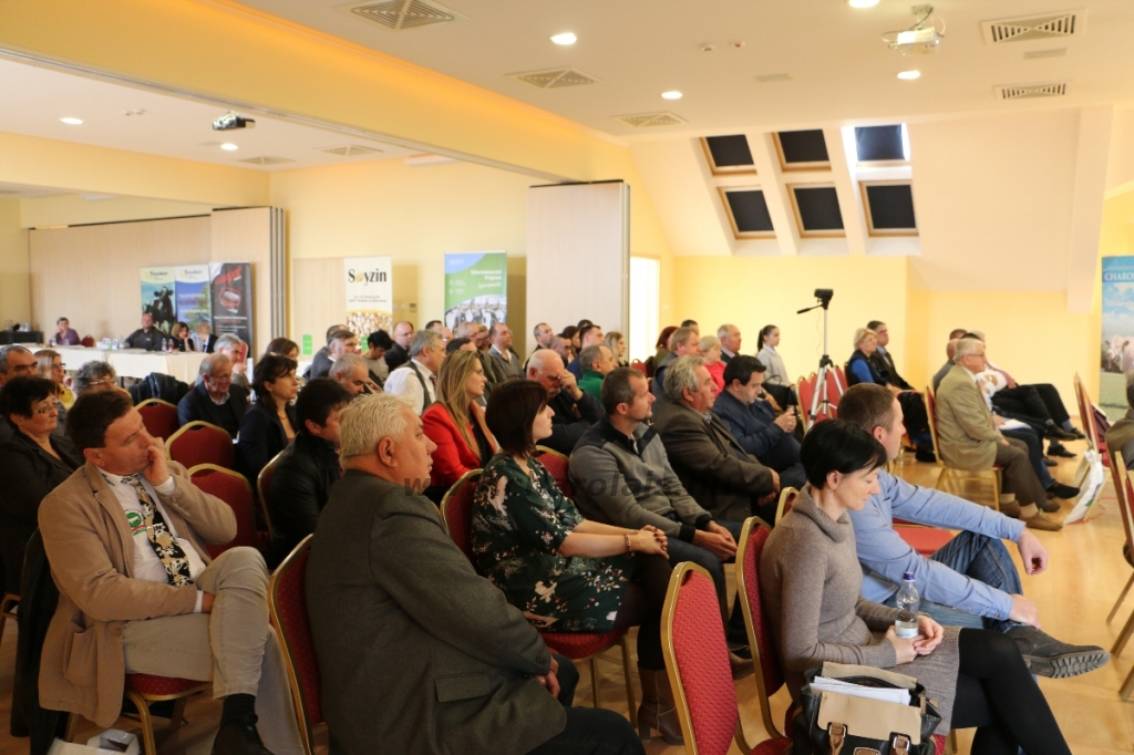 Cserkeszőlő - Konferencia 2017