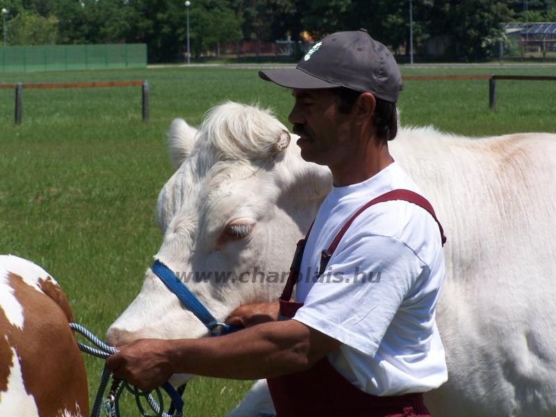 Farmer Expo 2005. 