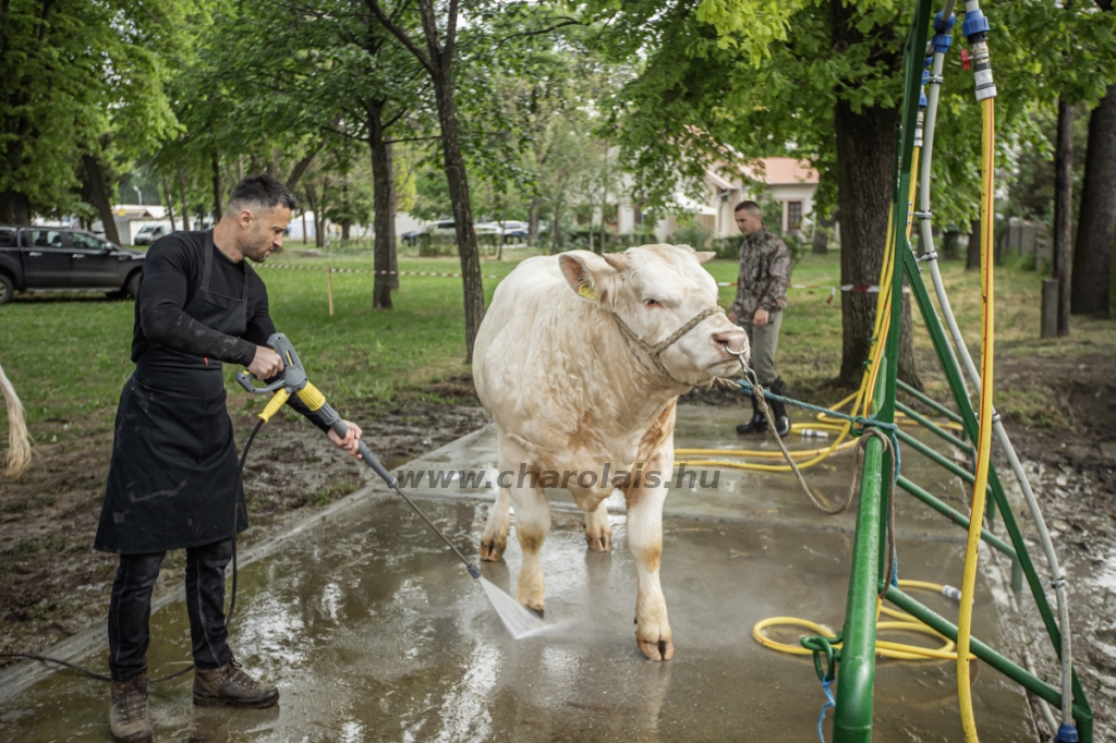 Hódmezővásárhely 2023