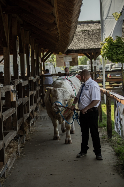 Hódmezővásárhely 2023