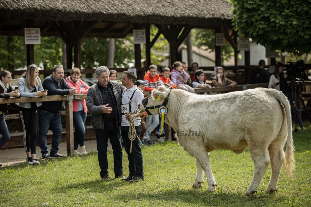 Hódmezővásárhely 2023