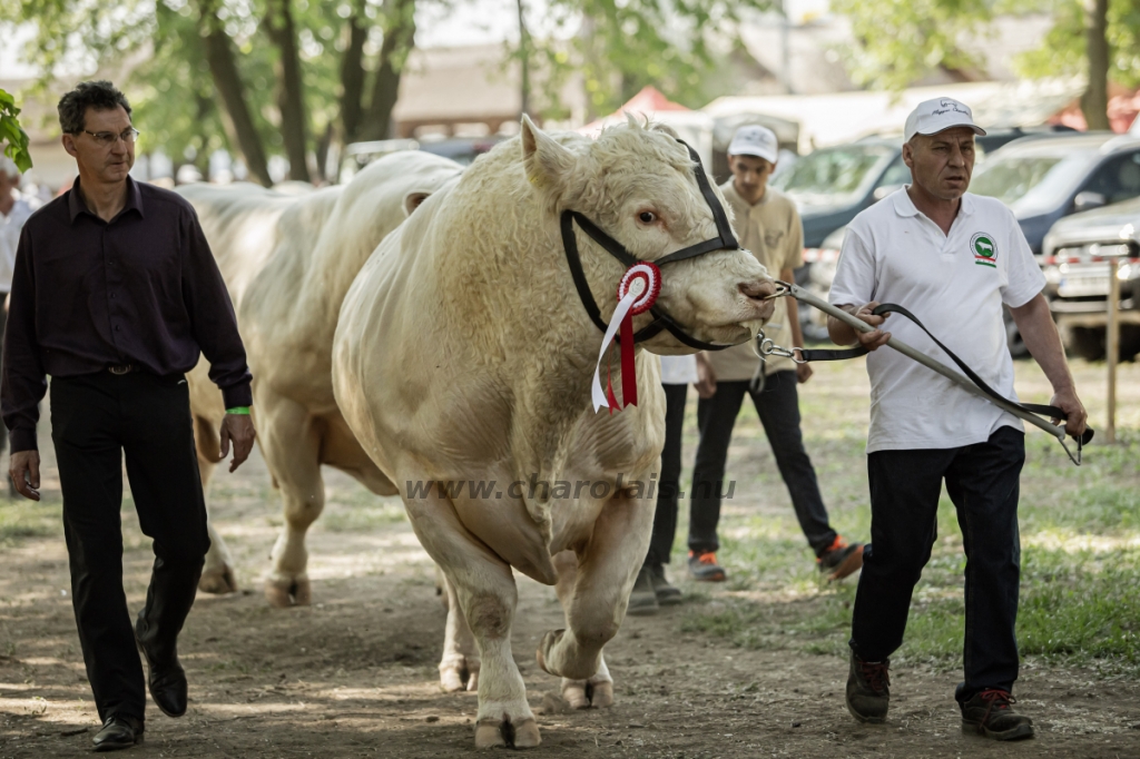 Hódmezővásárhely 2023