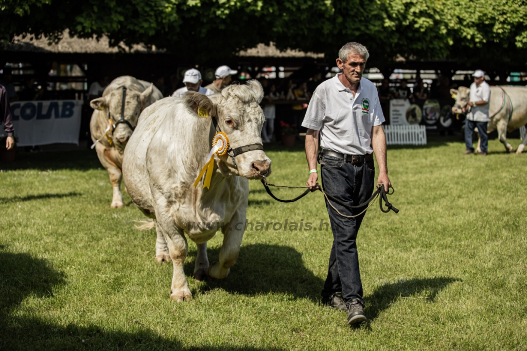 Hódmezővásárhely 2023