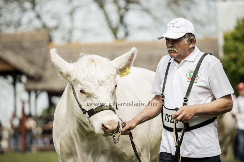 Hódmezővásárhely 2023