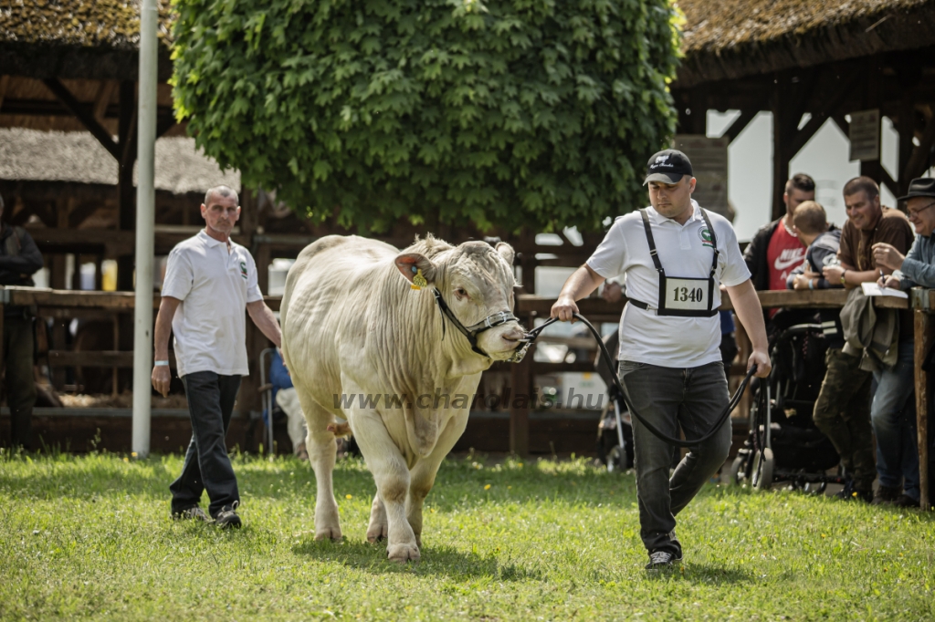 Hódmezővásárhely 2023