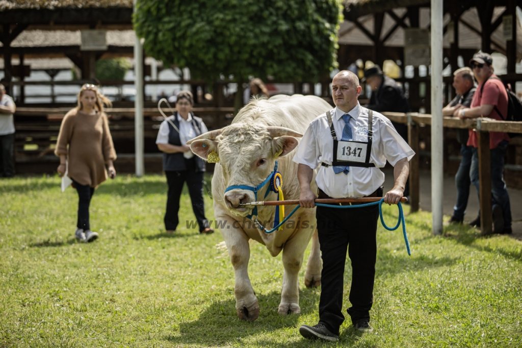 Hódmezővásárhely 2023