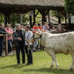 Hódmezővásárhely 2023