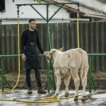 Hódmezővásárhely 2023