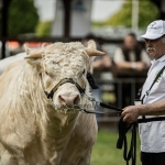 Hódmezővásárhely 2023