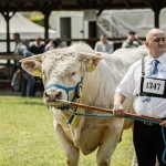 Hódmezővásárhely 2023