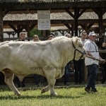 Hódmezővásárhely 2023