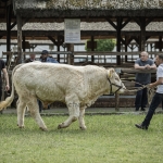 Hódmezővásárhely 2023